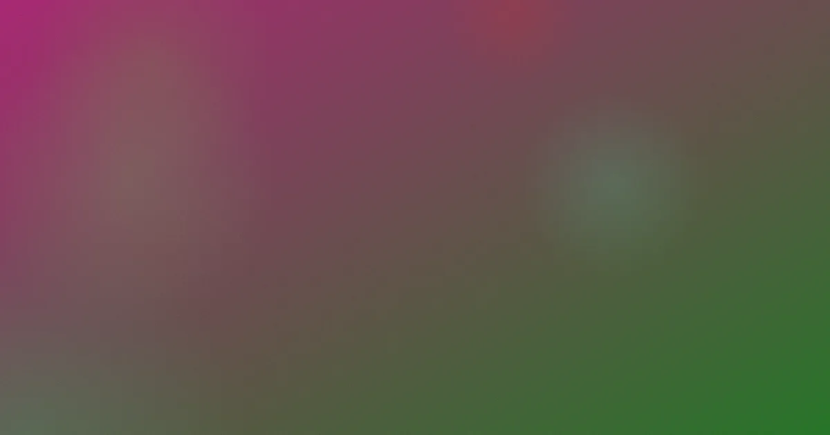 火鸟测评：这些坑先看
